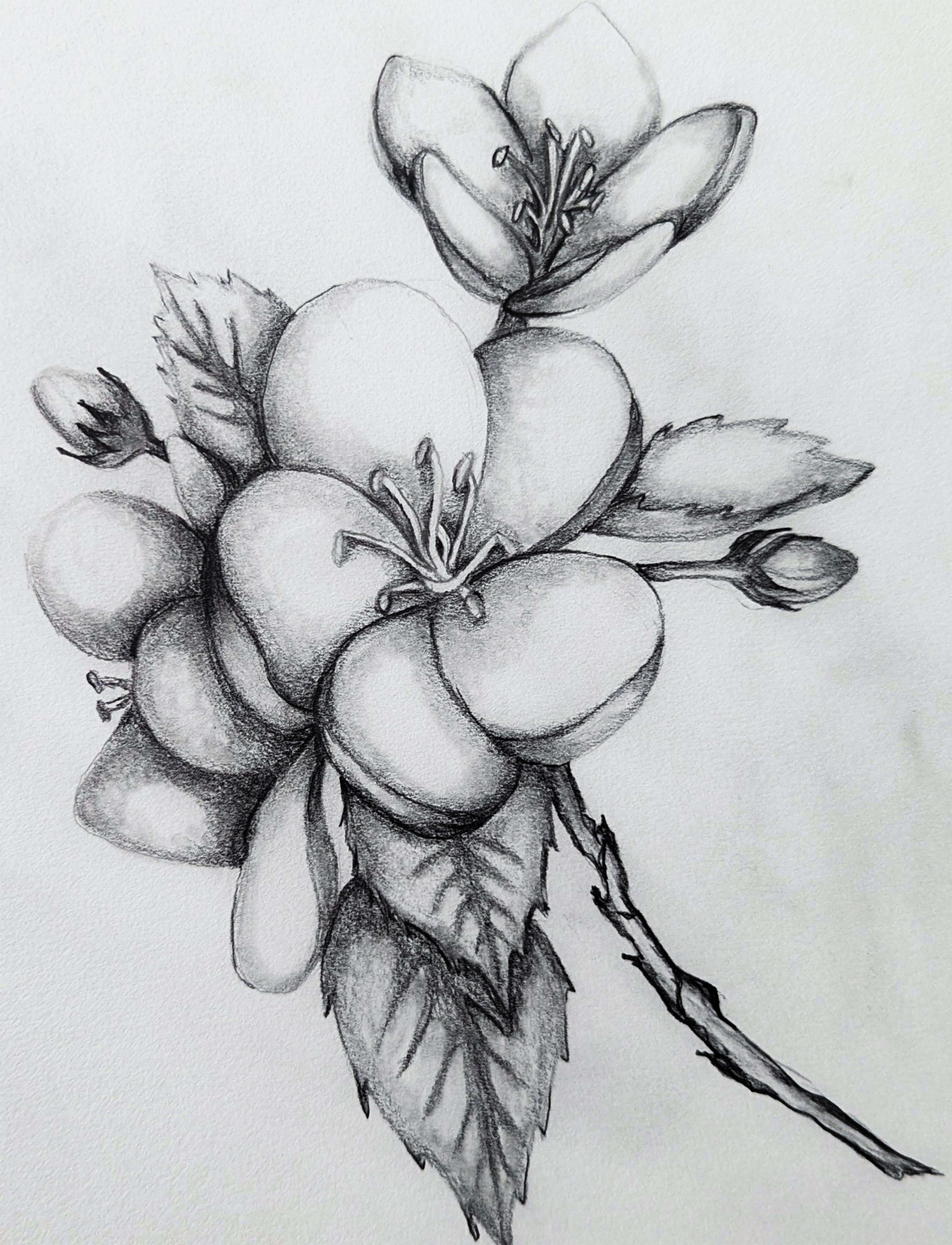 Images of a dogwood flowwer on a brach with other blooms.