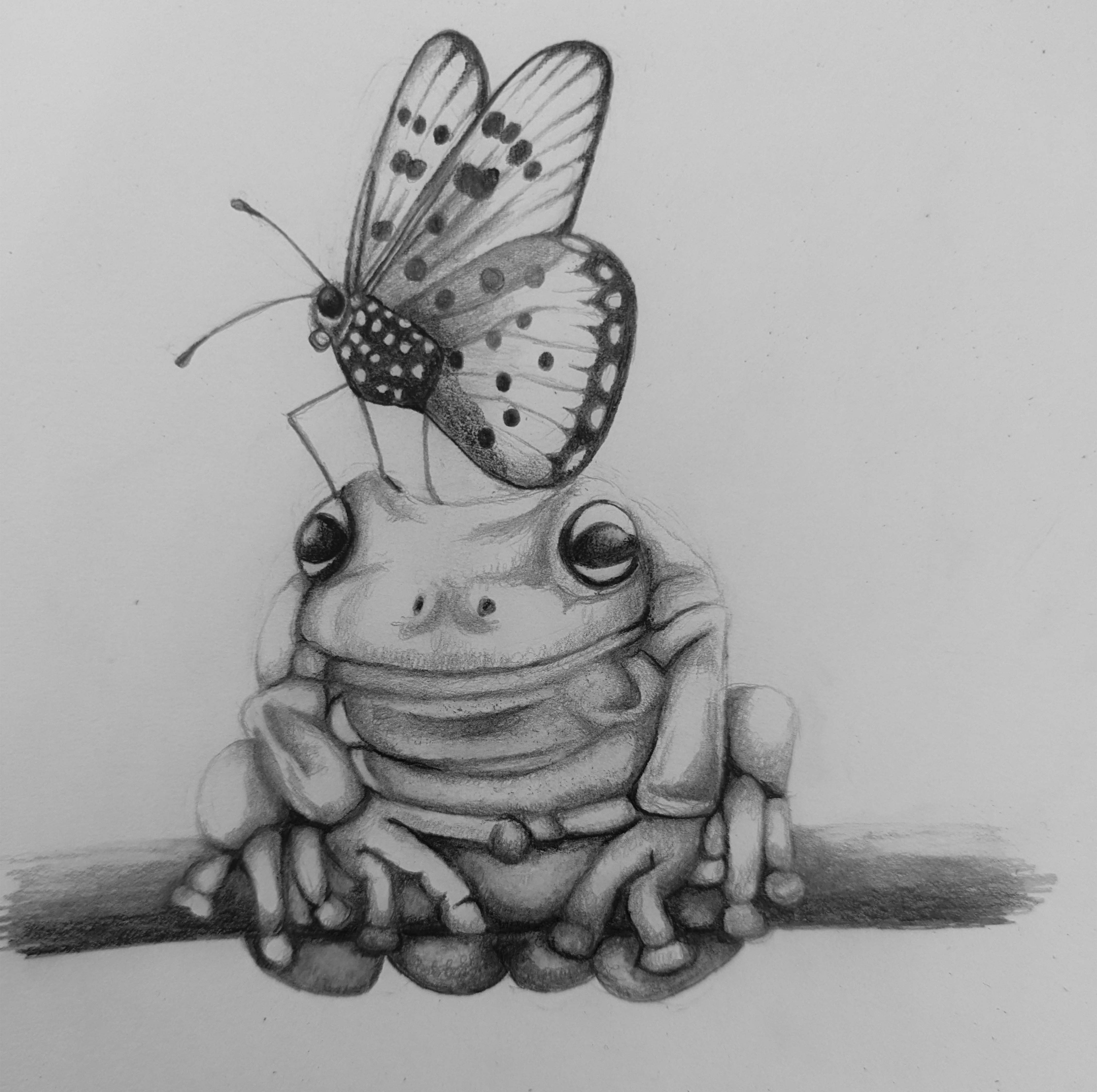 Image of a frog sitting on a brach with a butterfly on its head.