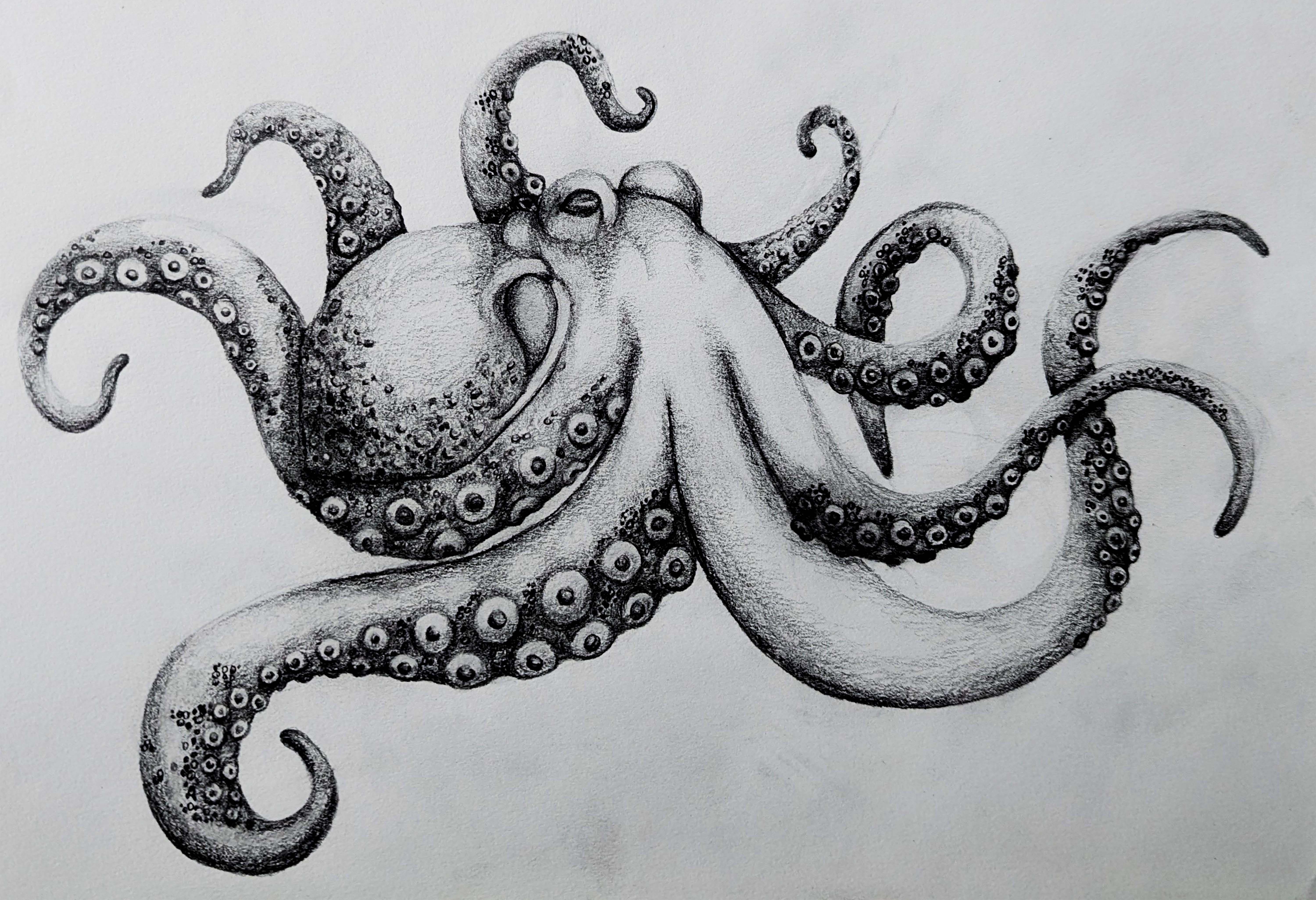 An octopus with its arms places all around the body of the octopus.