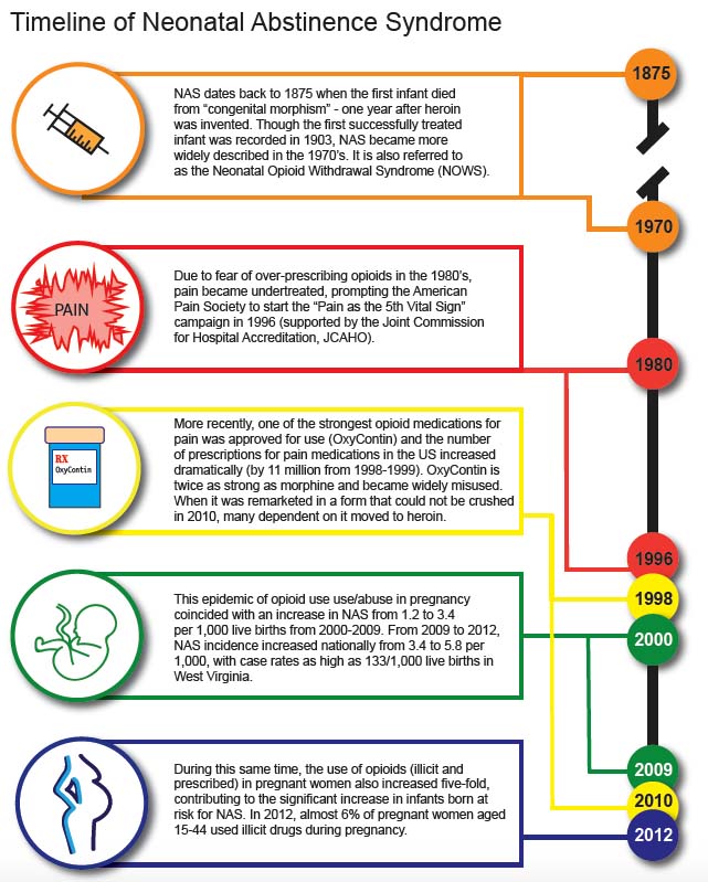 Image of five icons on the right that are followed by text and lines coming from the icons go above and belo the text to specific dates on a timeline.